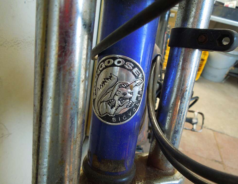 mongoose xr250 mountain bike