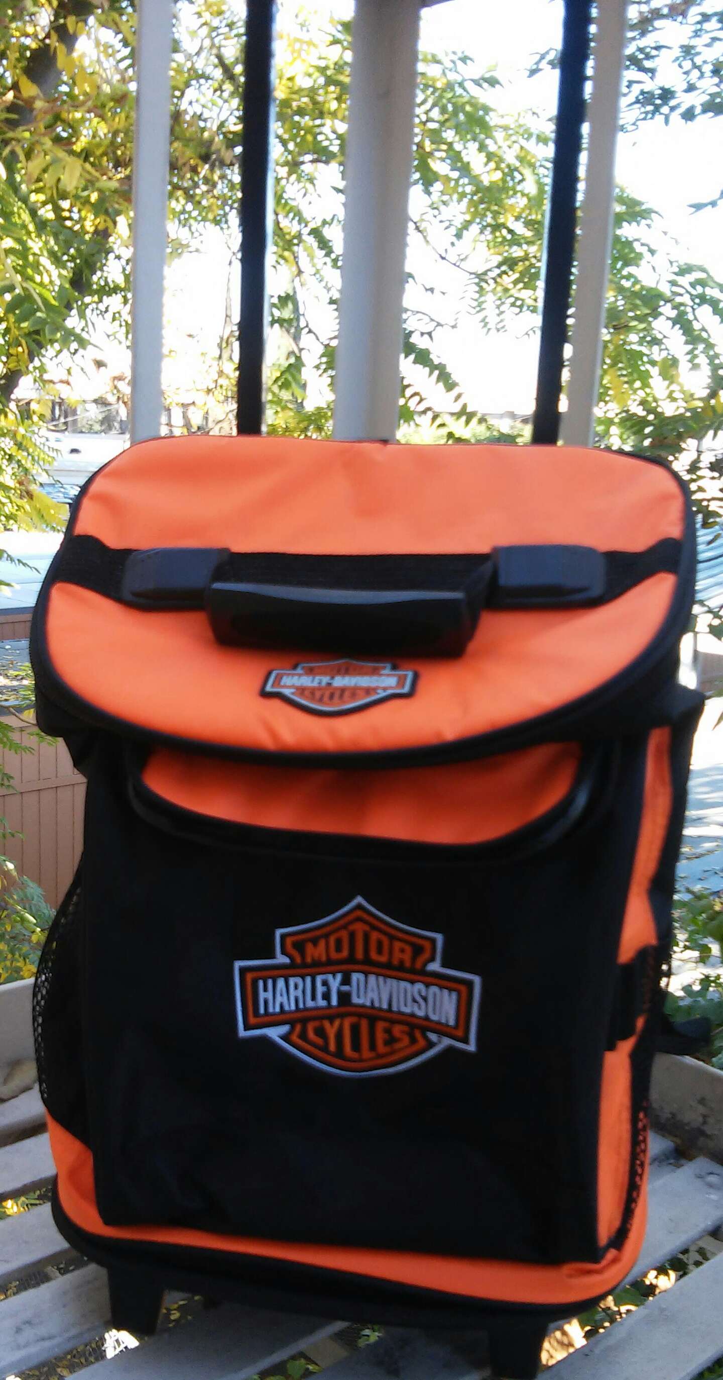 harley davidson lunch cooler