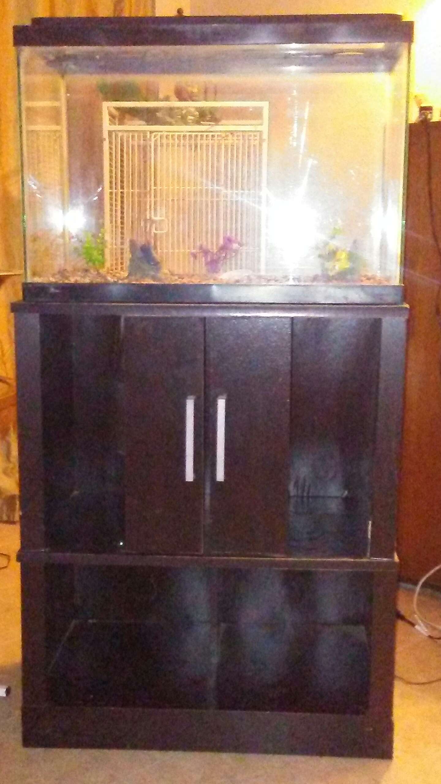 25 gallon fish/reptile tank w/stand for sale in Grand ...