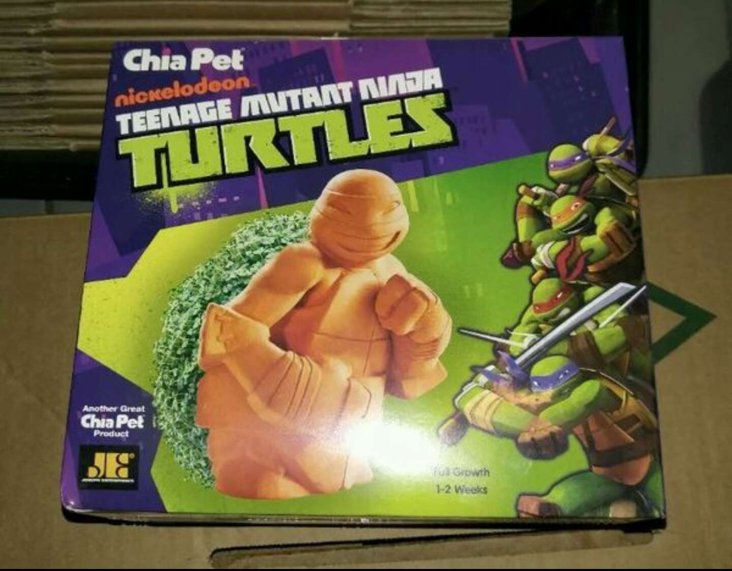 Teenage Mutant Ninja Turtles Chia Pet Planter for sale in Everett, MA ...