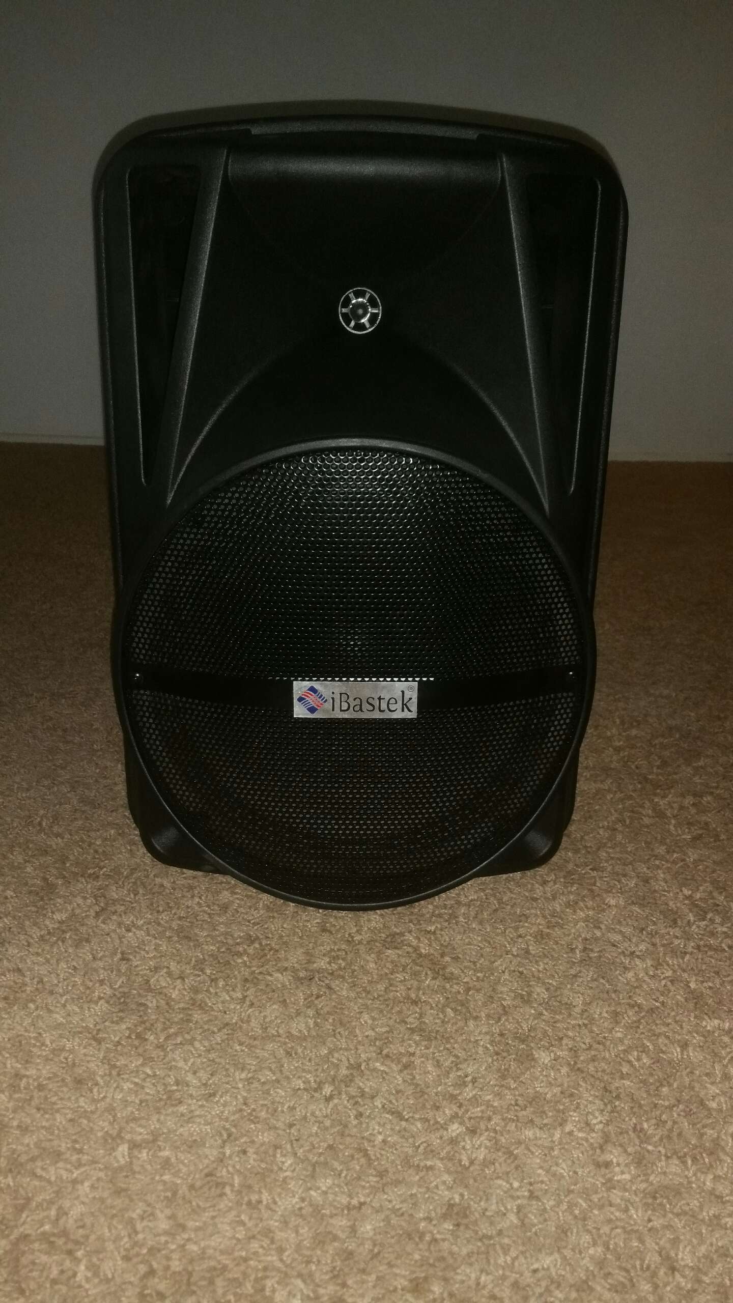 ibastek bluetooth speaker 12 inch