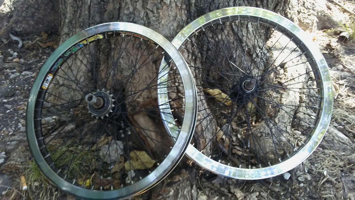 alex triple wall rims