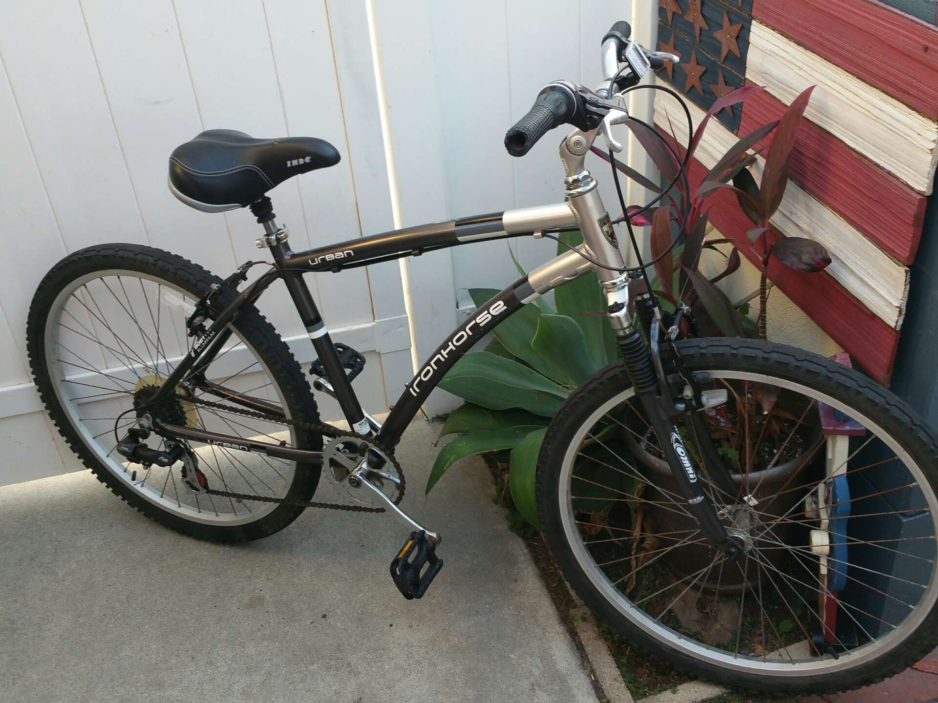 urban iron horse bike